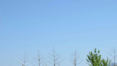 歐菲國(guó)際家居:把愛與溫暖送到智障孩子心中 
